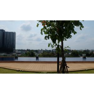 ͹ Supalai Park Ҫġ-ྪ  46.6 . 1 ͧ͹ й ú 